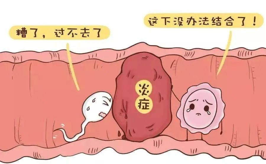 上海试管助孕中心价格多少钱一次？,上海三大助孕公司坤和在哪儿