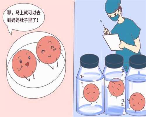 成都金贝供卵需要多少钱_公立医院做供卵试管_多囊卵巢做试管可以用自己的卵