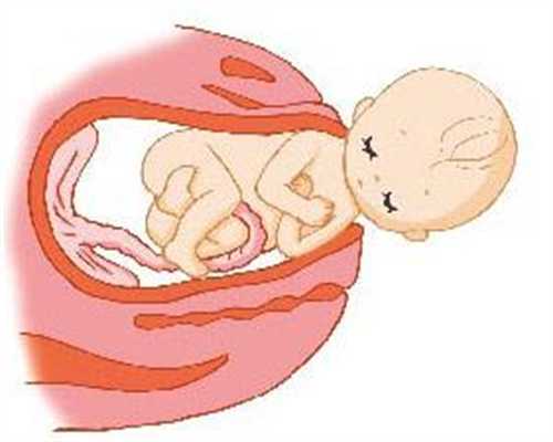 供卵基因_成都试管婴儿供卵大概多少钱_泰国试管婴儿后的胎儿求救信号，你知