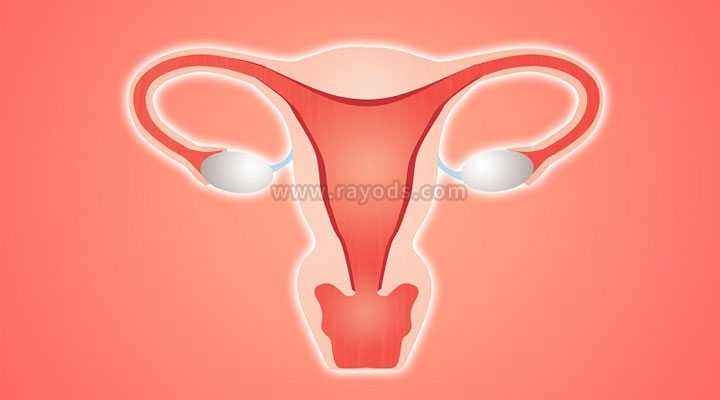 子宫内膜薄做试管婴儿移植前做宫腔灌注的利弊谁更大？
